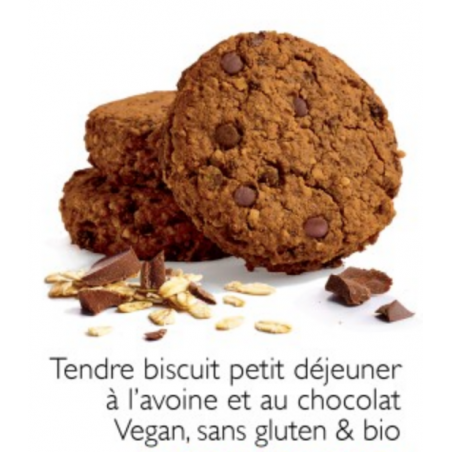 Biscuits Petit D Jeuner Avoine Chocolat Sans Gluten No Gluten Pro